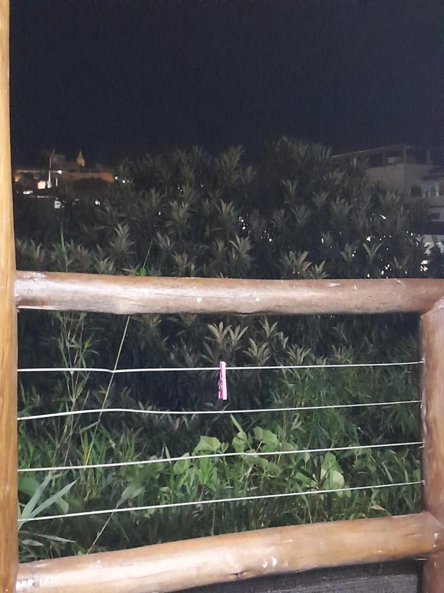 Chale Bambu3 Apartman Cunha Kültér fotó